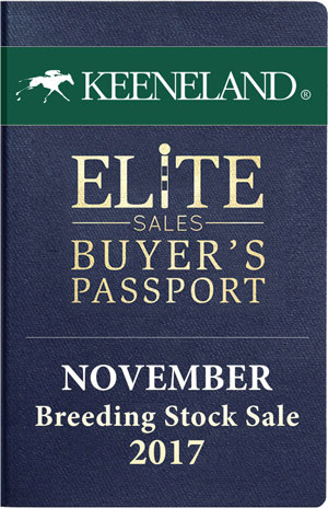 Keeneland November 2017 Sale