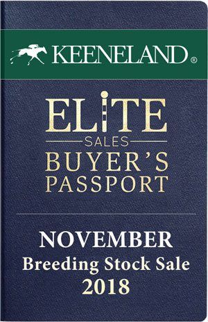 Keeneland November 2018 Sale