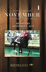 2019 November Keeneland Sale