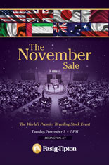 2019 November Fasig Tipton Sale