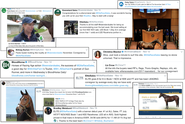 Elite Sales Social Media