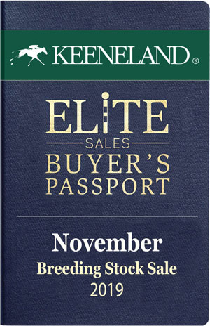 Keeneland November 2019 Sale