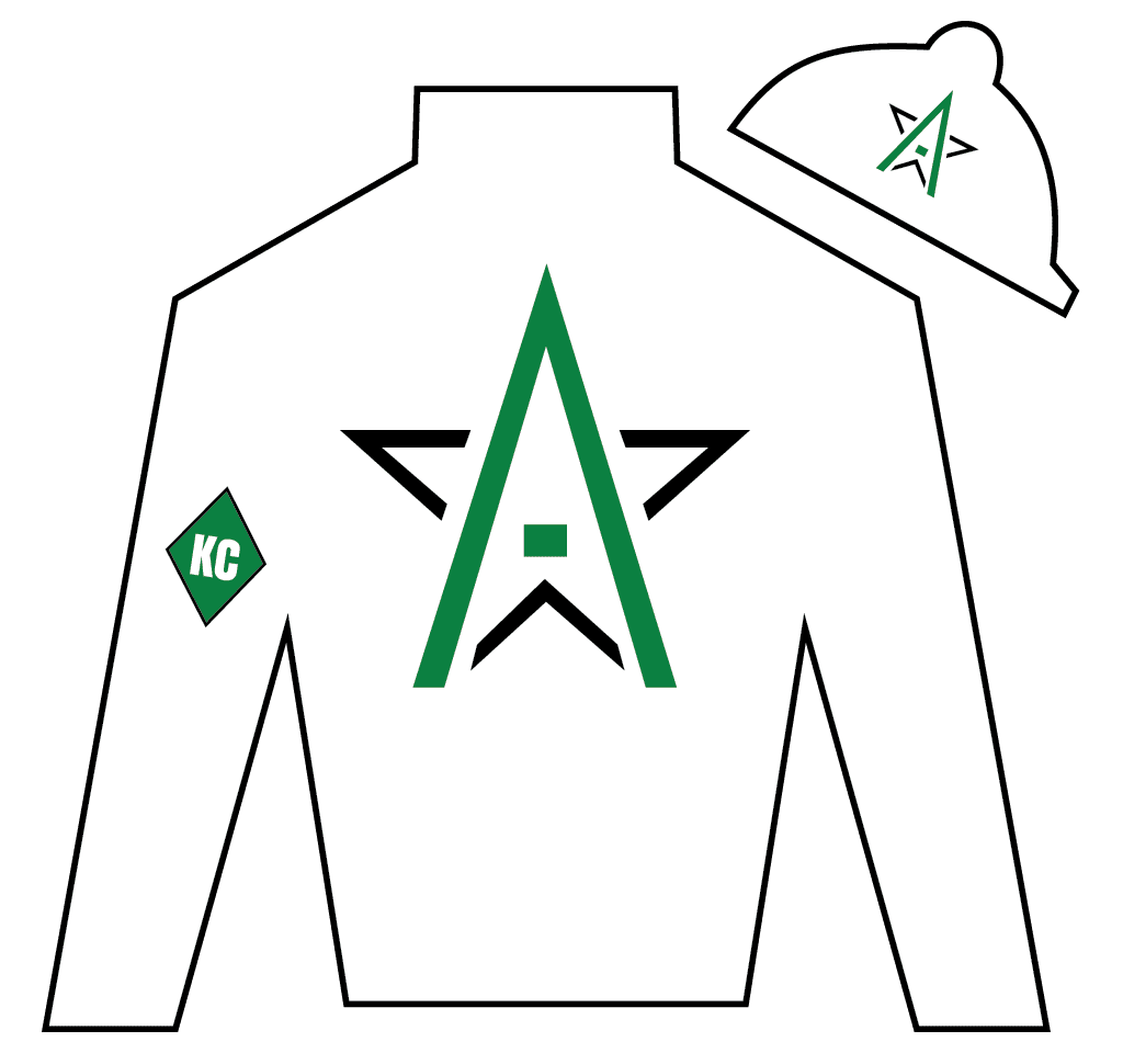 Winstar Farm Silk