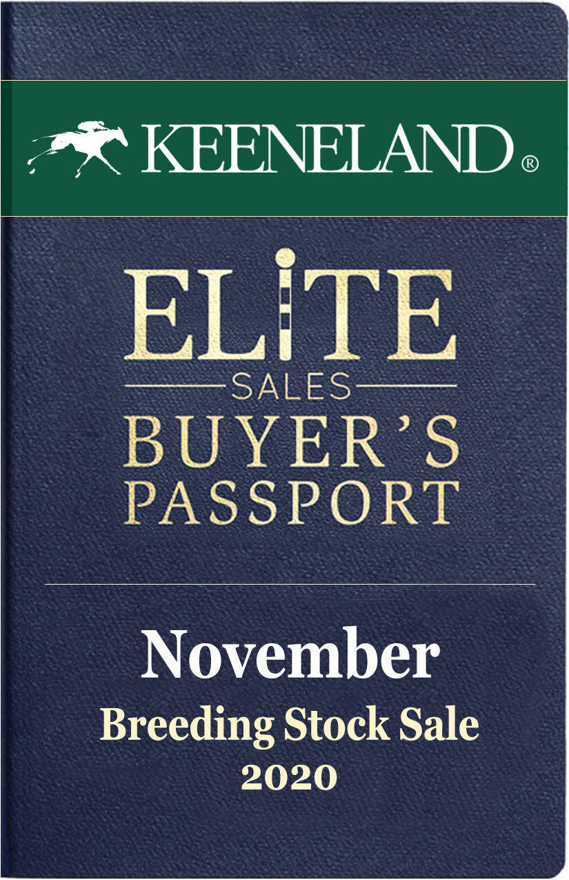 Keeneland November 2020 Breeding Stock Sale
