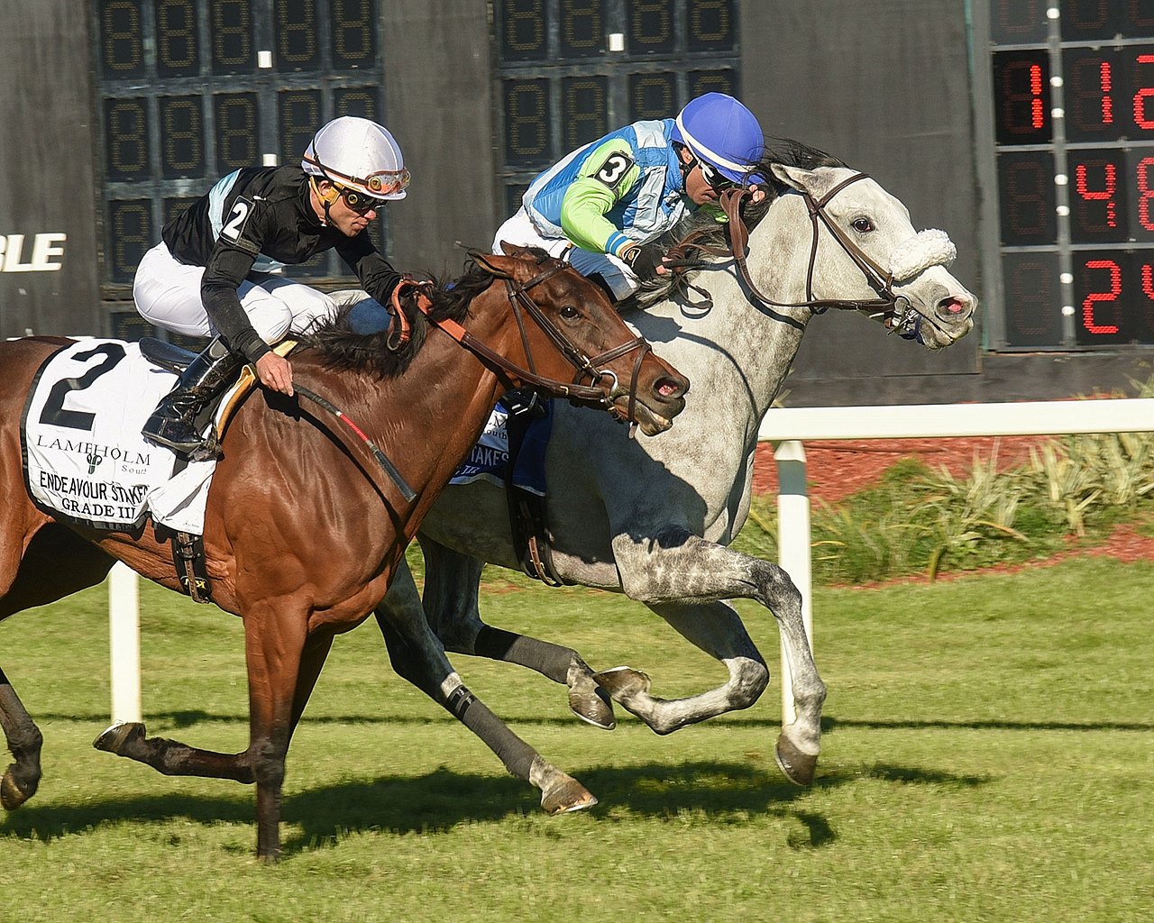 Graded Stakes Races Graded Stakes Races