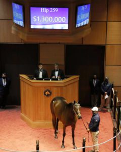 Competitionofideas Hip 259