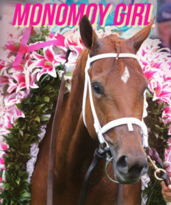 Monomoy Girl Brochure