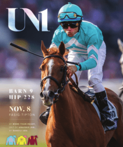 Uni Brochure