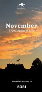 2021 November Keeneland Sale Cover