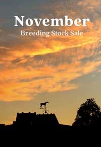 2021 November Keeneland Sale Cover