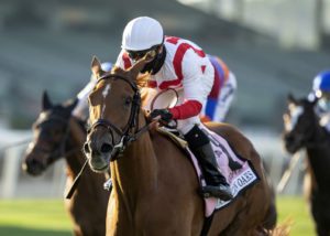 Duopoly on the track
