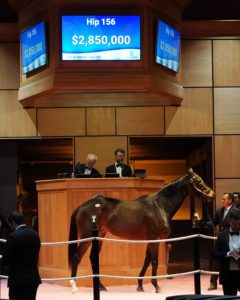 DAYOUTOFTHEOFFICE in the ring