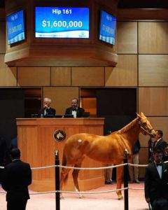 DUOPOLY in the ring