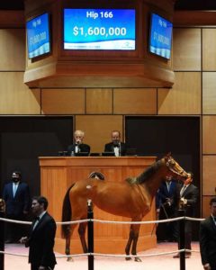 ETOILE in the ring