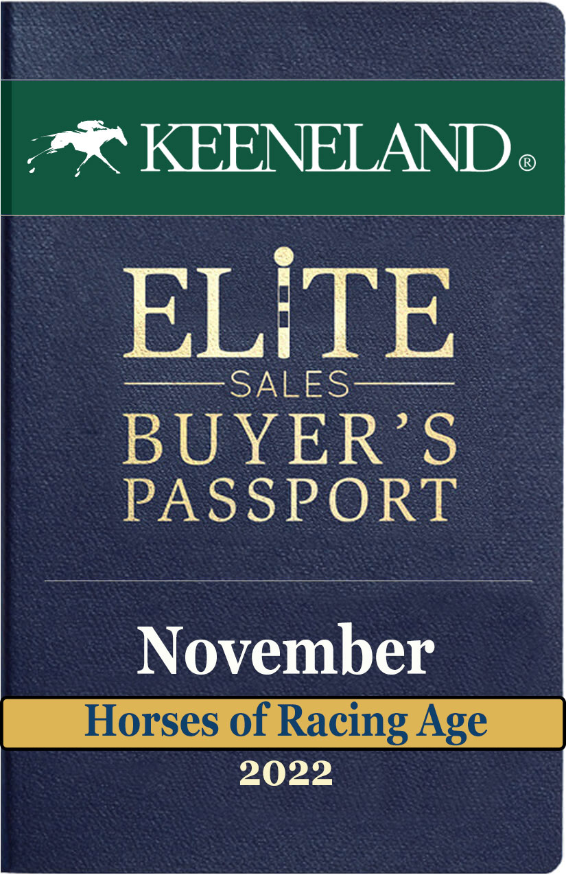 Keeneland November 2022 HORA sale