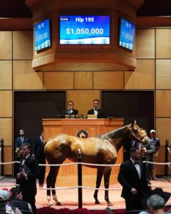Lady Rocket in the ring