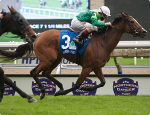 Etoile (FR)