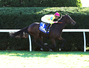Shantisara (IRE)